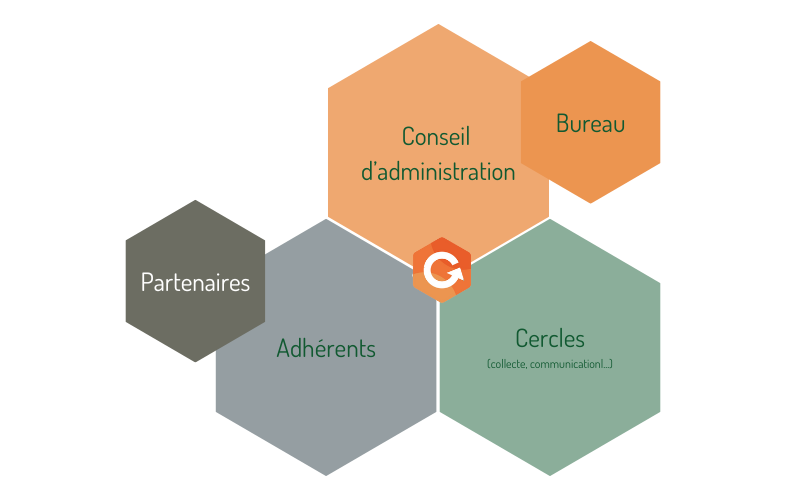 Organigramme Cerestia